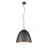 RL Lampa wisząca nowoczesna JAGGER R30681932 czarny
