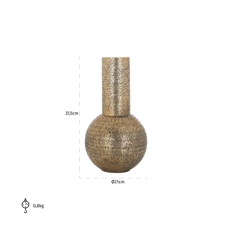 RICHMOND waza DARCEY L złota