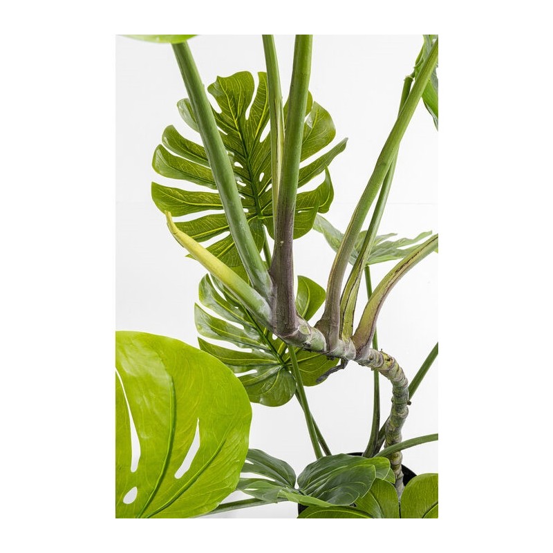 KARE roślina dekoracyjna MONSTERA 110 cm