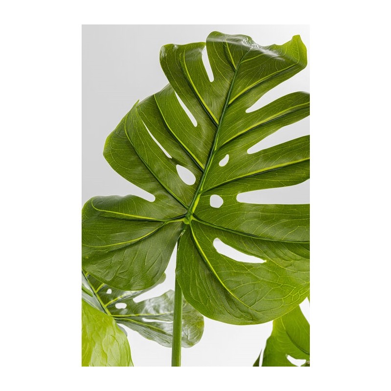 KARE roślina dekoracyjna MONSTERA 110 cm