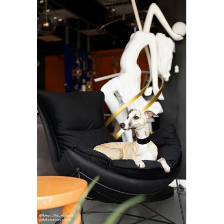 Fotel OTILIA STAND VELVET czarny