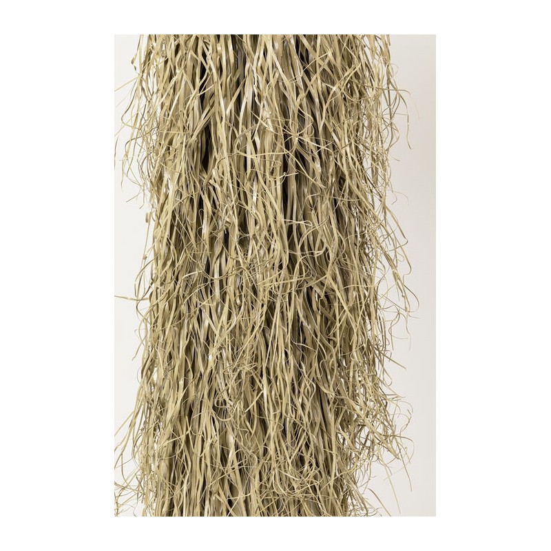 Kare Roślina Dekoracyjna Yucca Rostrata   240 Cm