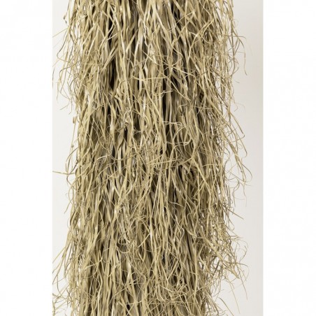 Kare Roślina Dekoracyjna Yucca Rostrata   240 Cm