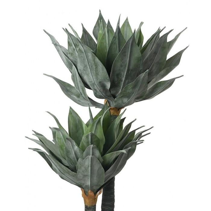 Kare Roślina Dekoracyjna Agave 120 Cm