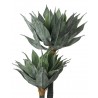 Kare Roślina Dekoracyjna Agave 120 Cm