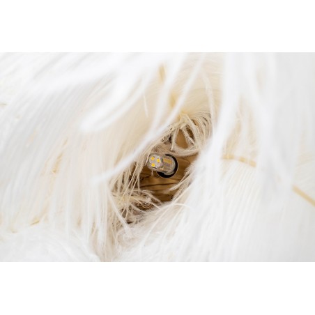 Moosee Lampa Wisząca Tiffany 135 Biała    Mosiądz / Naturalne Pióra