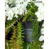 Moosee Lampa Wisząca Gardens Wisteria 50