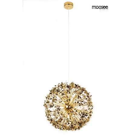 Moosee Lampa Wisząca Monete 50 Złota