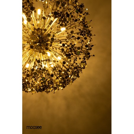 Moosee Lampa Wisząca Monete 50 Złota