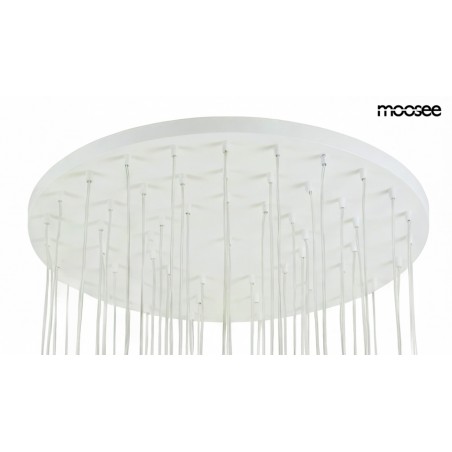 Moosee Lampa Wisząca Cannon Disc 50       Złota