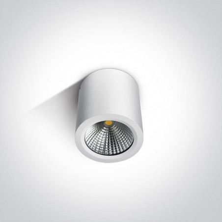 67380/W/W biały cylinder sufitowy COB LED 3000K 10W IP54 nieściemnialny zasilacz LED w zestawie